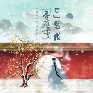 春庭雪(DJ名龙 Mix)