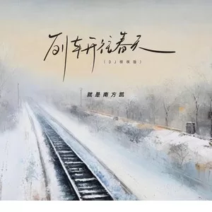 列车开往春天(DJ棋棋版)
