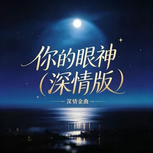 你的眼神(深情版)