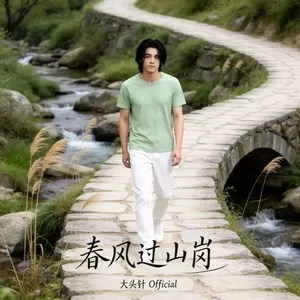 春风过山岗