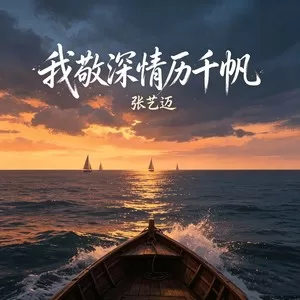 我敬深情历千帆(伴奏)