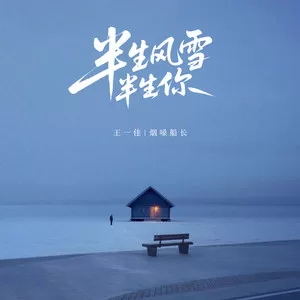 半生风雪半生你