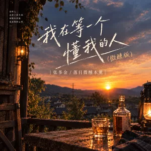 我在等一个懂我的人(微醺版)