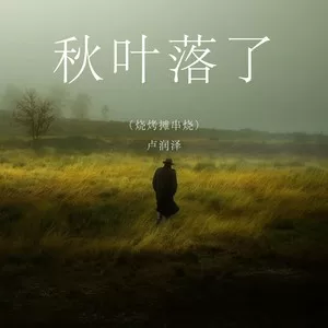 秋叶落了(烧烤摊串烧节奏版)