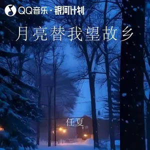 月亮替我望故乡(DJEva版)