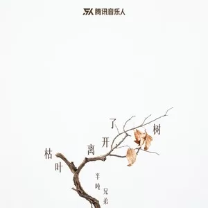 枯叶离开了树