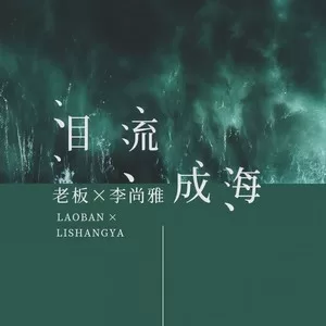 泪流成海(DJ武圣雄版)