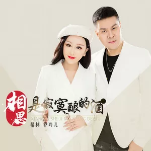 相思是寂寞酿的酒(DJ版)