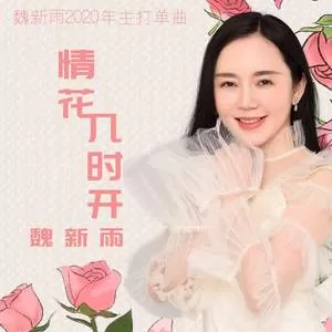 情花几时开(DJ版)