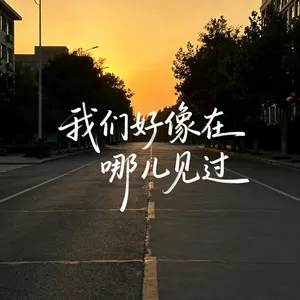 我们好像在哪见过(深情男版)