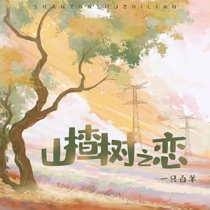 山楂树之恋（DJ豪大大版）