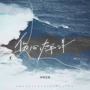 伤心太平洋车载DJ版