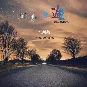 何为归途（DJ版）