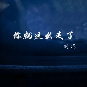 你就这么走了（DJ先森版）
