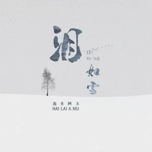 泪如雪(DJ默涵版)