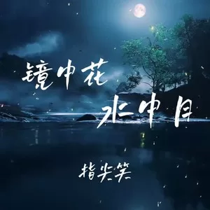镜中花水中月(DJ版)