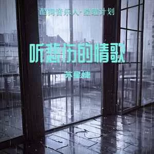 听悲伤的情歌(DJ光头版)