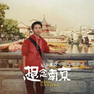 想念南京(Remix)