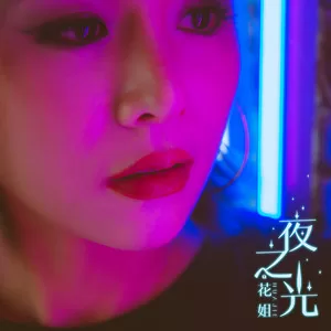 夜之光(光音坊音乐dj remix)