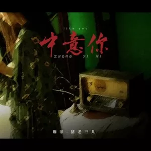 中意你(DJ阿卓版)