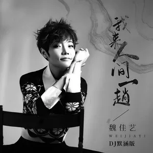 我来人间一趟(DJ默涵版)