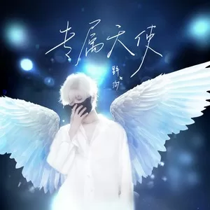 专属天使（野洵版）