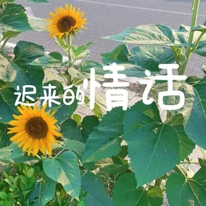 若把你（DJ版）