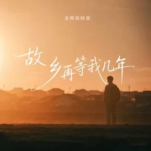 故乡再等我几年
