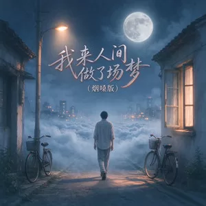 我来人间做了场梦（烟嗓版）