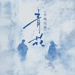 青花(DJ豪大大版)