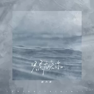 只是太爱你(DJ阿卓版)
