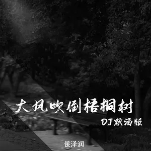 大风吹倒梧桐树(DJ默涵版)